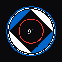 91 官方品牌Logo